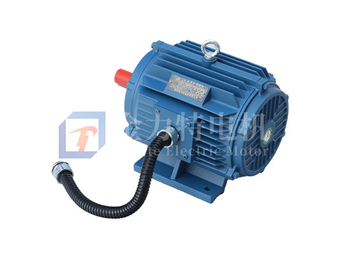 YE3 系列高效率三相異步電動(dòng)機(jī)