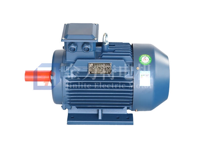 YE5系列超高效率三相異步電動(dòng)機(jī)