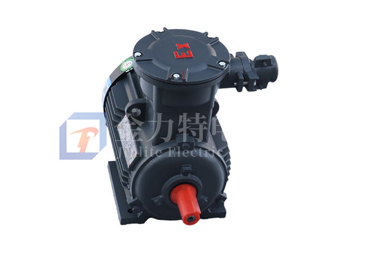 YBX3系列高效率隔爆型三相異步電動(dòng)機(jī)